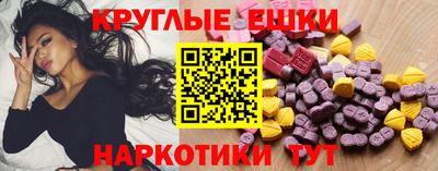 стаф Краснодар