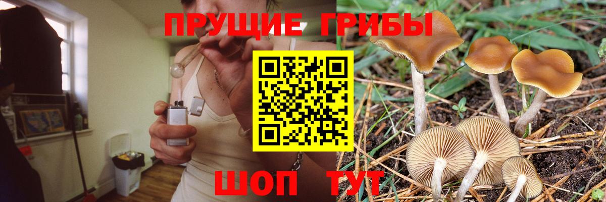 Галлюциногенные грибы MAGIC MUSHROOMS Котлас