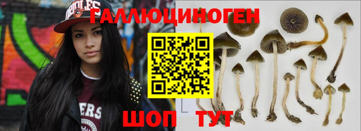 купить наркотики цена  Галлюциногенные грибы ЛСД  Вход с VPN  Котлас 